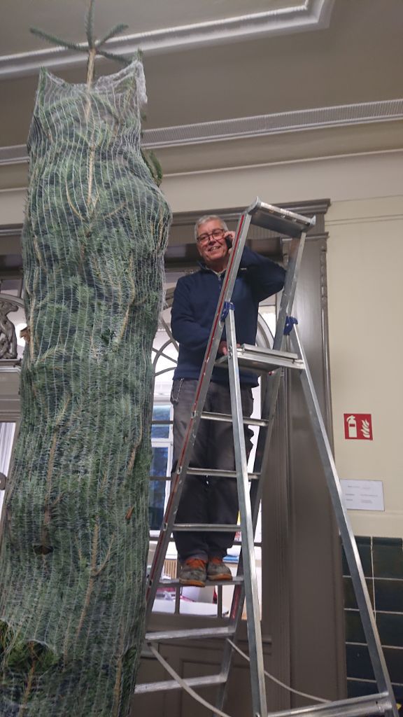 Unser Hausmeister, Hr. Stephan, beim Aufstellen des Weihnachtsbaumes vor dem Sekretariat